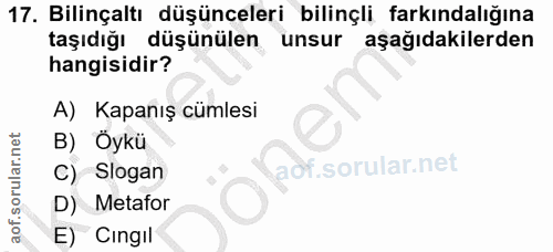 Soru 17