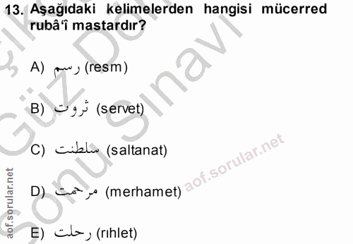 Soru 13