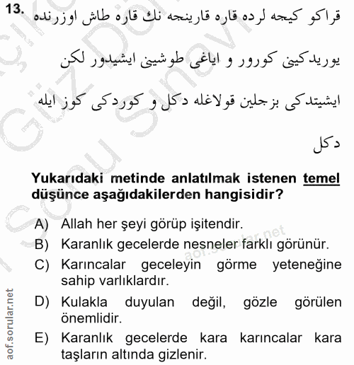 Soru 13
