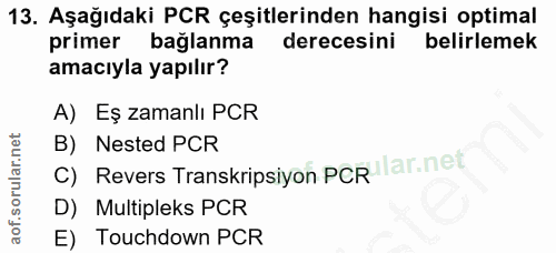 Soru 13