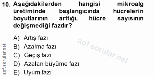 Soru 10