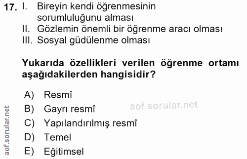 Soru 17