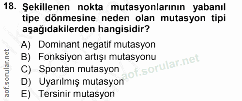 Soru 18