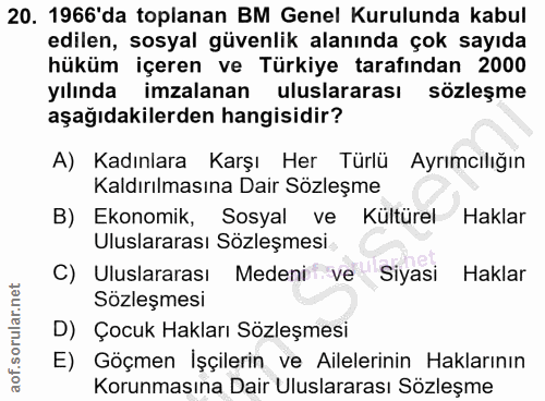 Soru 20