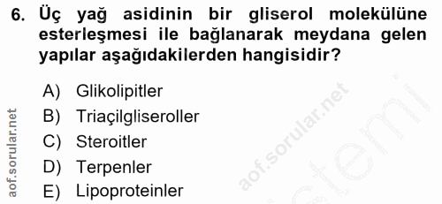 Soru 6