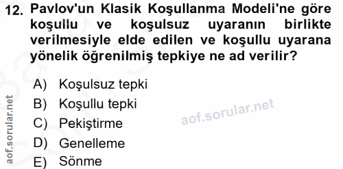 Soru 12