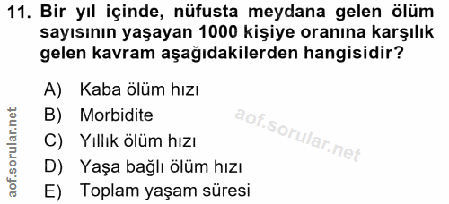 Soru 11