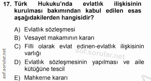 Soru 17