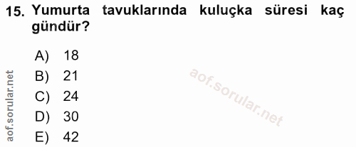 Soru 15
