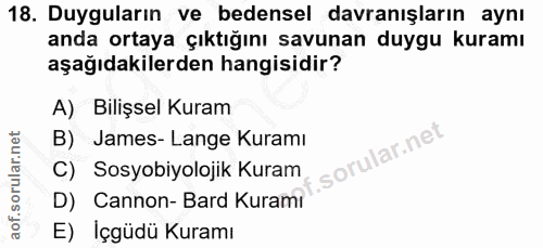 Soru 18