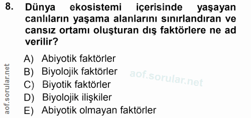 Soru 8
