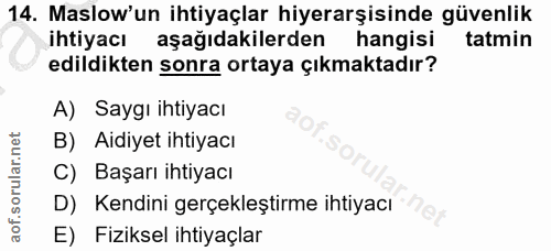 Soru 14