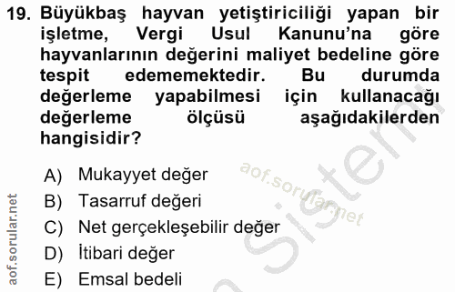 Soru 19