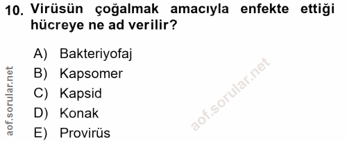 Soru 10