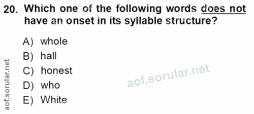 Soru 20