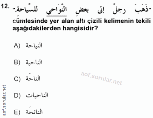 Soru 12