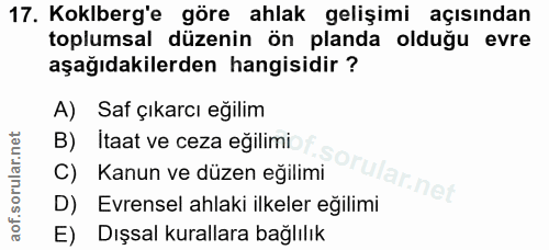 Soru 17