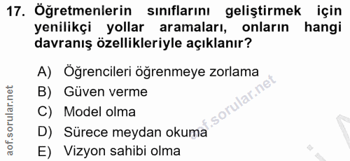 Soru 17