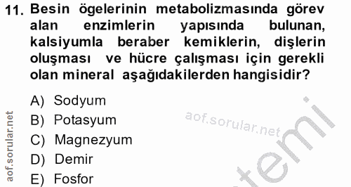 Soru 11