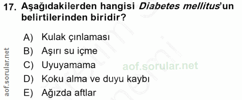Soru 17