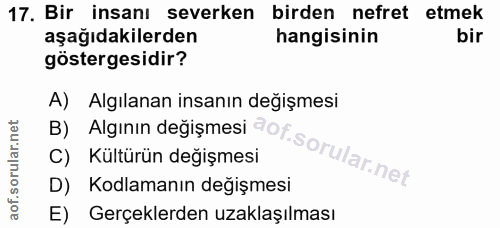 Soru 17