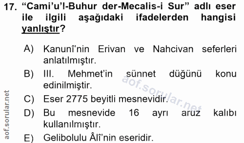 Soru 17