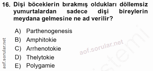 Soru 16