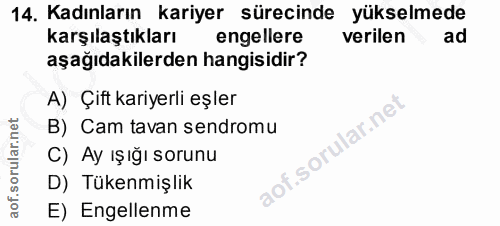 Soru 14