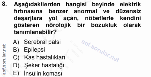 Soru 8