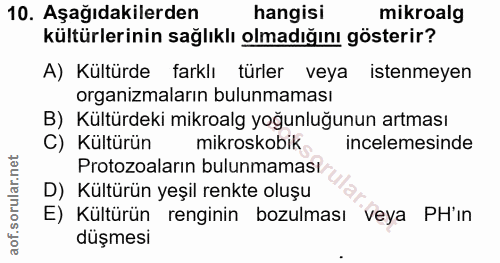 Soru 10