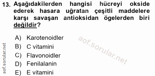 Soru 13