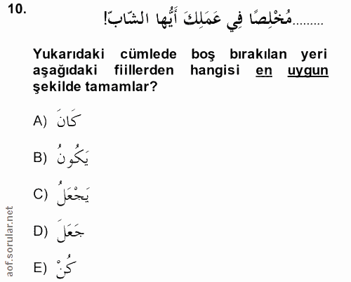 Soru 10