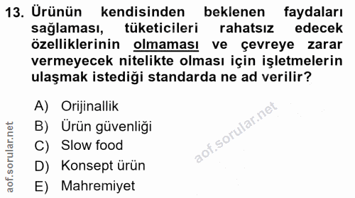 Soru 13