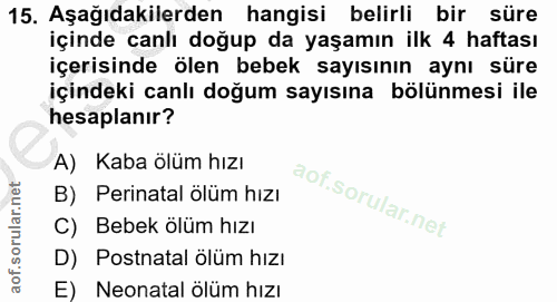 Soru 15