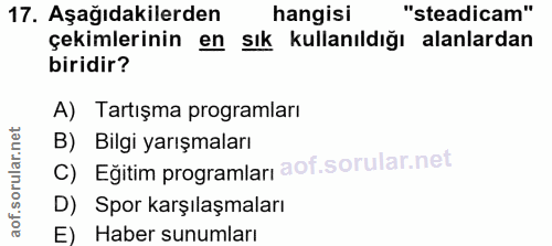 Soru 17