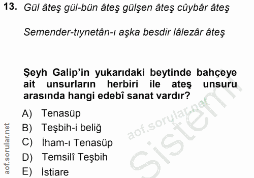 Soru 13