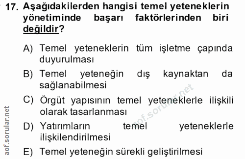 Soru 17