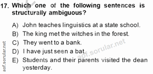 Soru 17