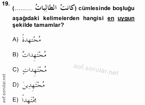 Soru 19