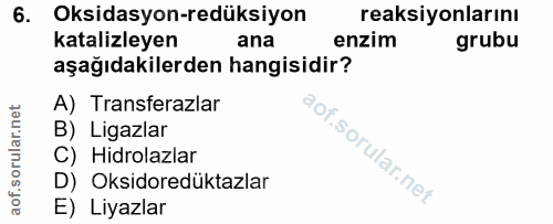 Soru 6