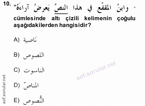 Soru 10