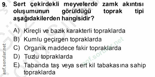 Soru 9