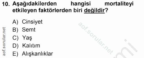 Soru 10