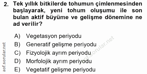 Soru 2