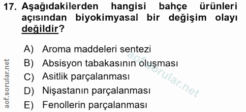 Soru 17