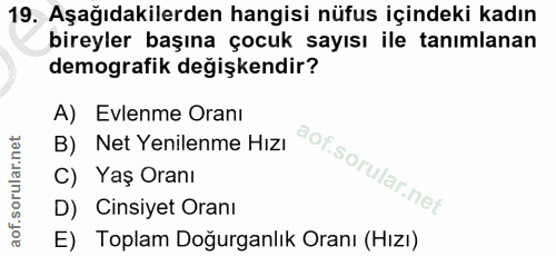 Soru 19