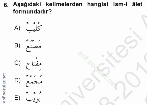 Soru 6