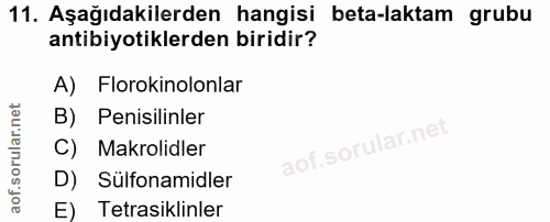 Soru 11