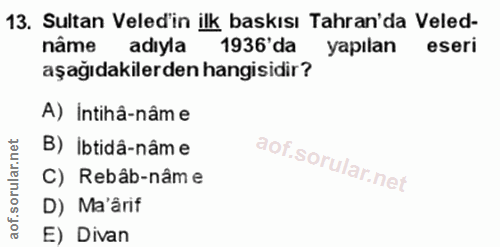 Soru 13