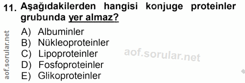 Soru 11